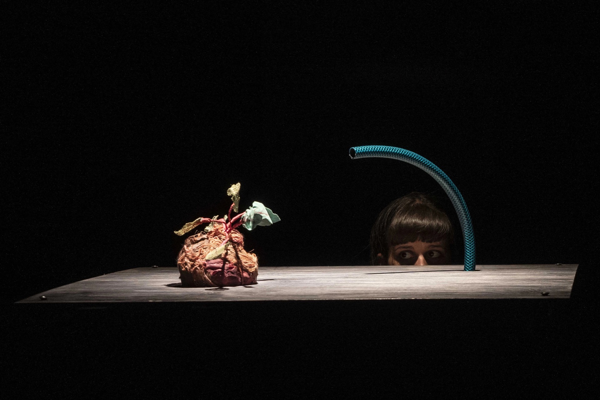 Ř.I.P. // DAMU (666 entertainment)